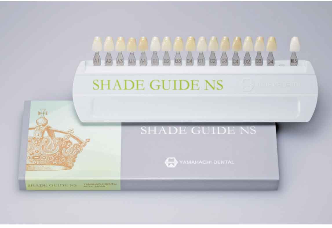 SHADE GUIDE NS